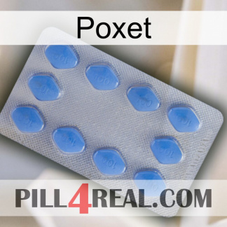 Poxet 21